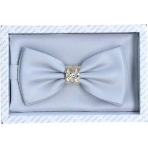 Mucha Szara z pozłacaną klamrą